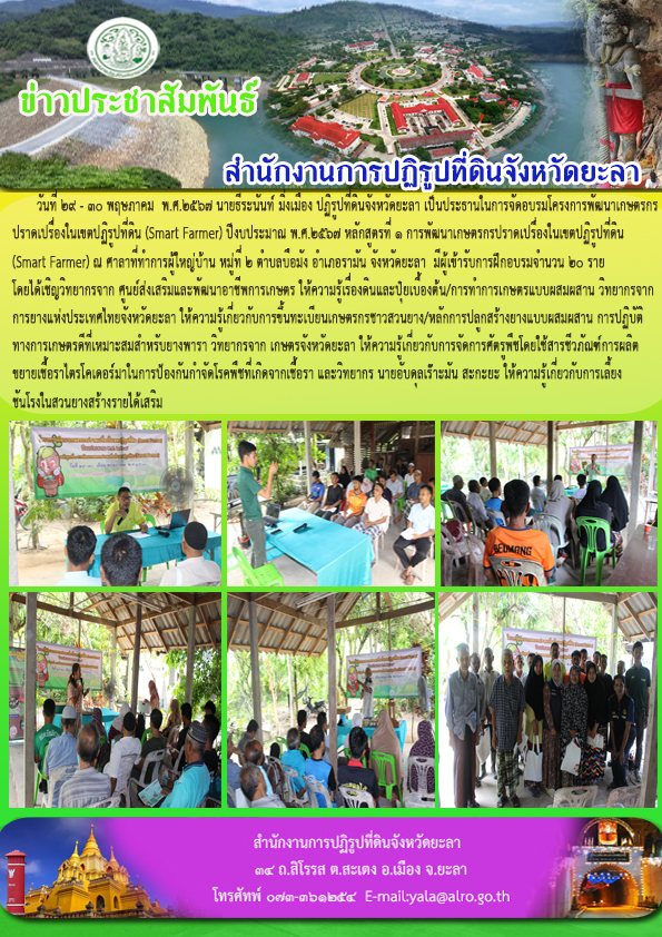 วันที่ 29 - 30 พฤษภาคม  พ.ศ.2567 นายธีระนันท์ มิ่งเมือง ปฏิรูปที่ดินจังหวัดยะลา เป็นประธานในการจัดอบรมโครงการพัฒนาเกษตรกร ปราดเปรื่องในเขตปฏิรูปที่ดิน (Smart Farmer) ปีงบประมาณ พ.ศ.2567 หลักสูตรที่ 1 การพัฒนาเกษตรกรปราดเปรื่องในเขตปฏิรูปที่ดิน (Smart Farmer) ณ ศาลาที่ทำการผู้ใหญ่บ้าน หมู่ที่ 2 ตำบลบือมัง อำเภอรามัน จังหวัดยะลา  มีผู้เข้ารับการฝึกอบรมจำนวน 20 ราย  โดยได้เชิญวิทยากรจาก ศูนย์ส่งเสริมและพัฒนาอาชีพการเกษตร ให้ความรู้เรื่องดินและปุ๋ยเบื้องต้น/การทำการเกษตรแบบผสมผสาน วิทยากรจาก การยางแห่งประเทศไทยจังหวัดยะลา ให้ความรู้เกี่ยวกับการขึ้นทะเบียนเกษตรกรชาวสวนยาง/หลักการปลูกสร้างยางแบบผสมผสาน การปฏิบัติ ทางการเกษตรดีที่เหมาะสมสำหรับยางพารา วิทยากรจาก เกษตรจังหวัดยะลา ให้ความรู้เกี่ยวกับการจัดการศัตรูพืชโดยใช้สารชีวภัณฑ์การผลิต ขยายเชื้อราไตรโคเดอร์มาในการป้องกันกำจัดโรคพืชที่เกิดจากเชื้อรา และวิทยากร นายอับดุลเร๊าะมัน สะกะยะ ให้ความรู้เกี่ยวกับการเลี้ยง ชันโรงในสวนยางสร้างรายได้เสริม