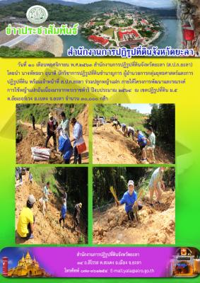 โครงการพัฒนาและรณรงค์ การใช้หญ้าแฝกอันเนื่องมาจากพระราชดำริ ปีงบประมาณ 2564