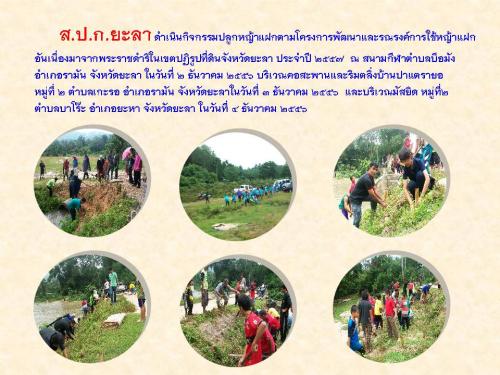 โครงการปลูกหญ้าแฝกอันเนื่องมาจากพระราชดำริ  