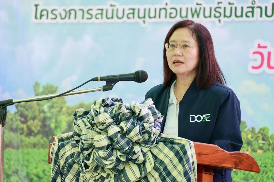 ส.ป.ก. ยโสธร ร่วมพิธีส่งมอบท่อนพันธุ์มันสำปะหลังพันธุ์ต้านทานโรคใบด่างมันสำปะหลัง