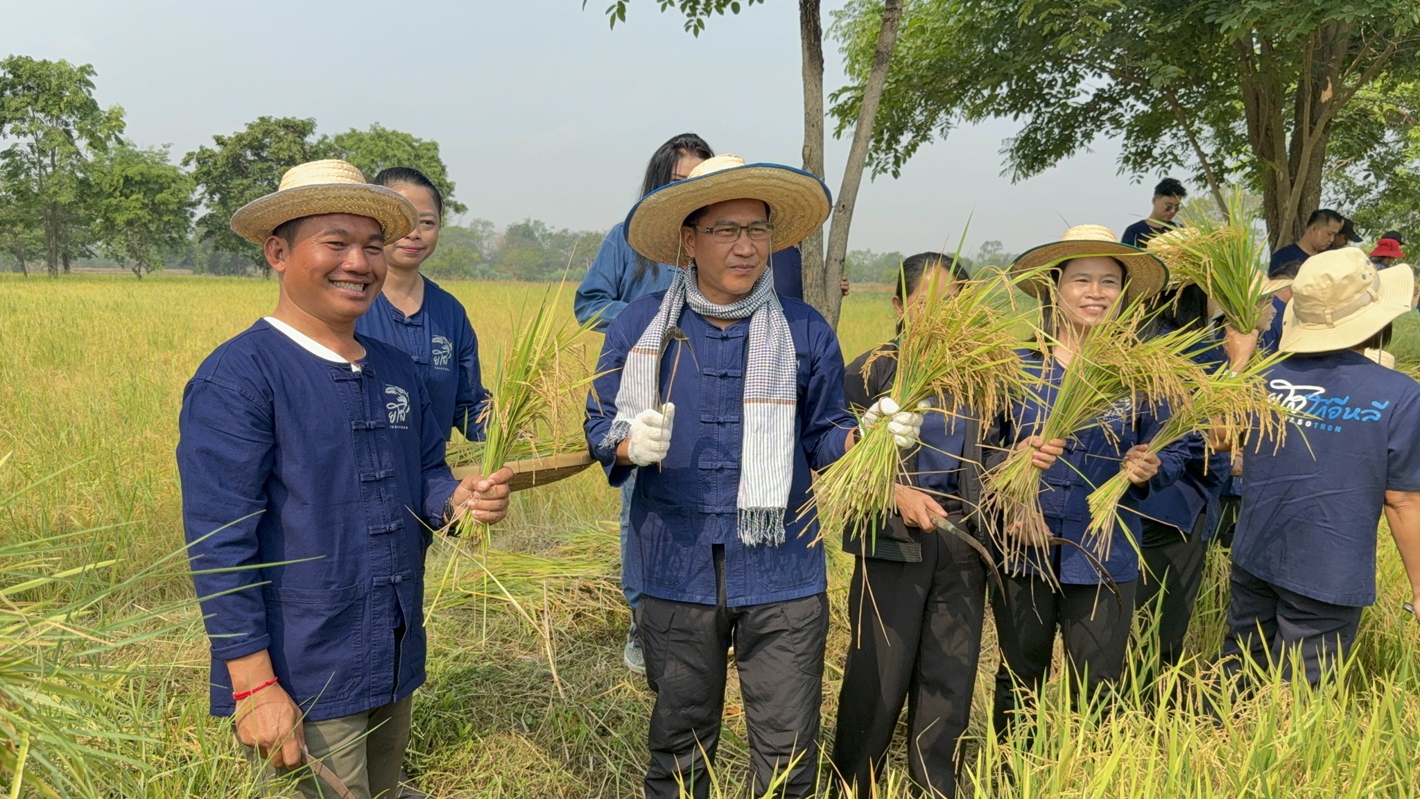 ส.ป.ก.ยโสธร ร่วมกิจกรรมเกี่ยวข้าว ภายใต้โครงการปลูกข้าวเฉลิมพระเกียรติ พระบาทสมเด็จพระเจ้าอยู่หัวฯ เนื่องในโอกาส มหามงคลเฉลิมพระชนมพรรษา 74 พรรษา