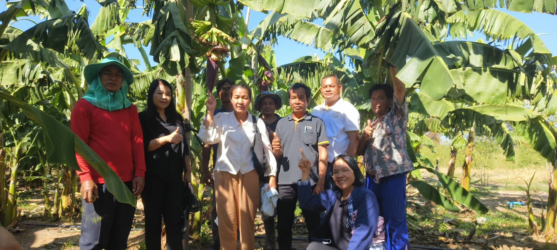  ส.ป.ก.ยโสธร  ตรวจเยี่ยมเกษตรกรวิสาหกิจชุมชนในเขตปฏิรูปที่ดินตำบลบุ่งค้า  อำเภอเลิงนกทา  จังหวัดยโสธร