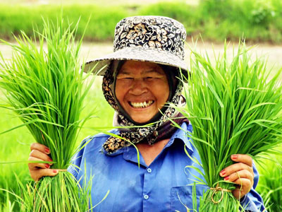 คู่มือการปรับปรุงเวบไซด์