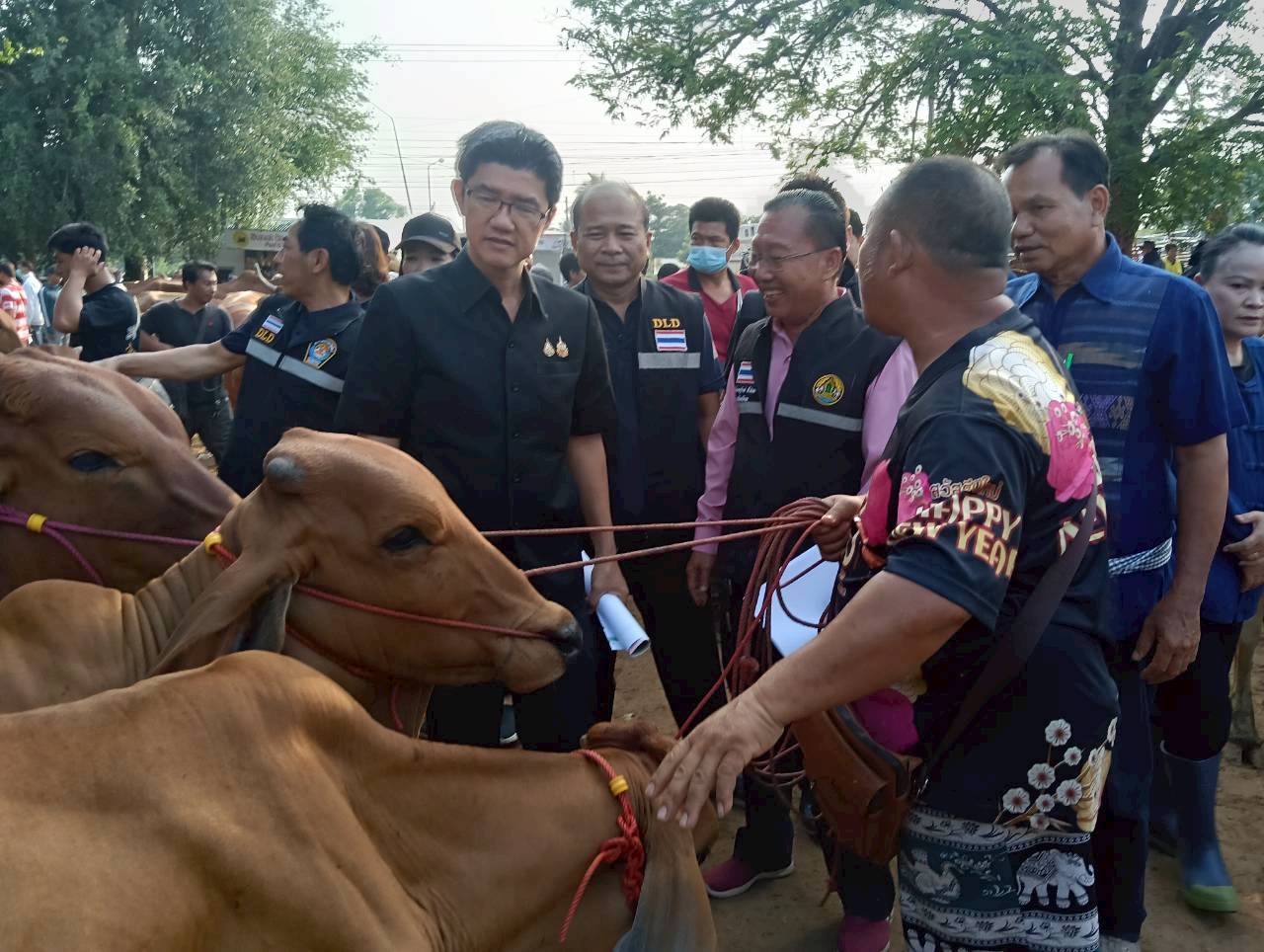 title - ส.ป.ก.ยโสธร ร่วมลงพื้นที่ตรวจเยี่ยม ตลาดนัดโค-กระบือ ณ บ้านเชียงหวาง  ตำบลสำราญ อำเภอเมืองยโสธร จังหวัดยโสธร