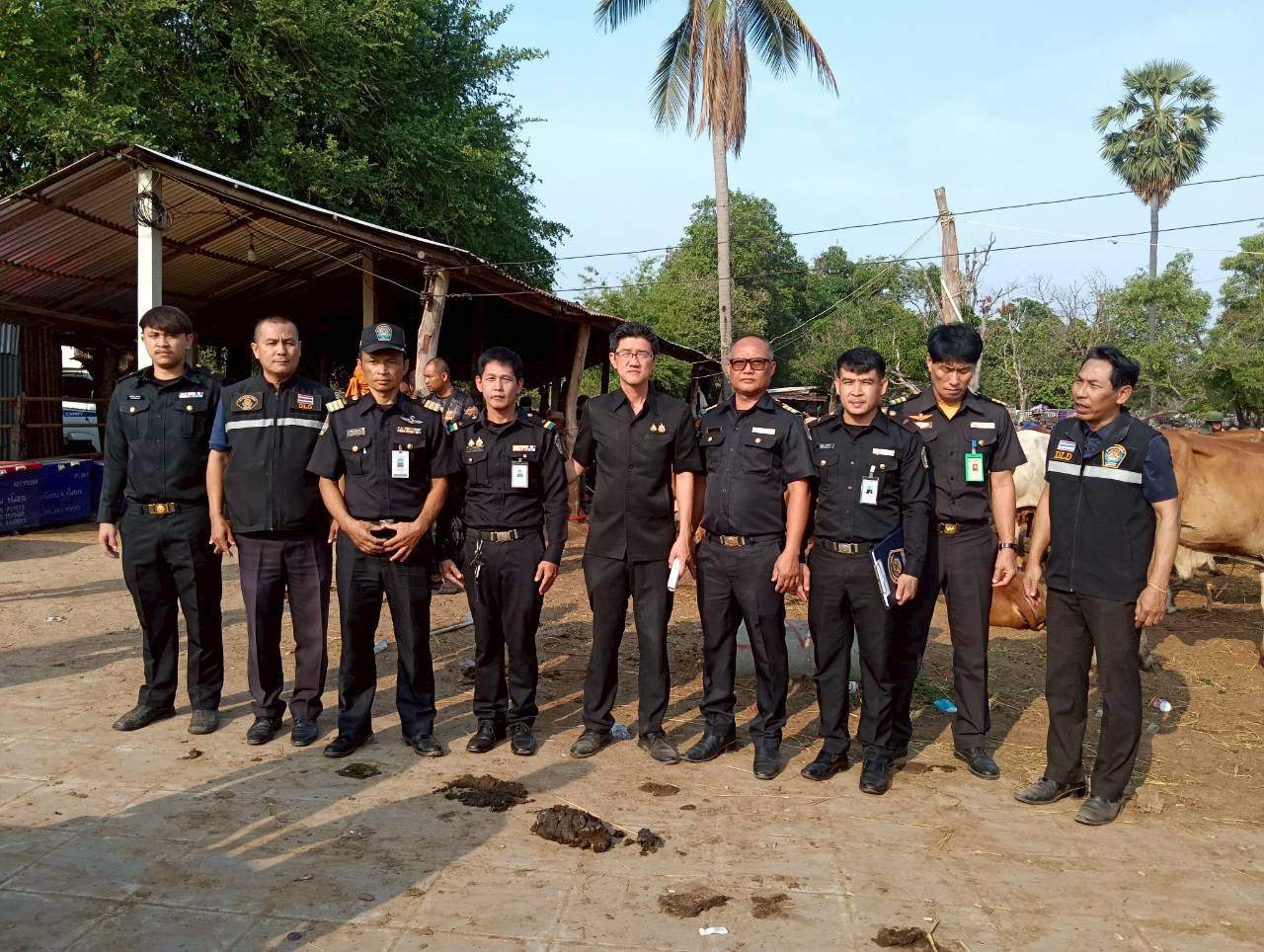 title - ส.ป.ก.ยโสธร ร่วมลงพื้นที่ตรวจเยี่ยม ตลาดนัดโค-กระบือ ณ บ้านเชียงหวาง  ตำบลสำราญ อำเภอเมืองยโสธร จังหวัดยโสธร