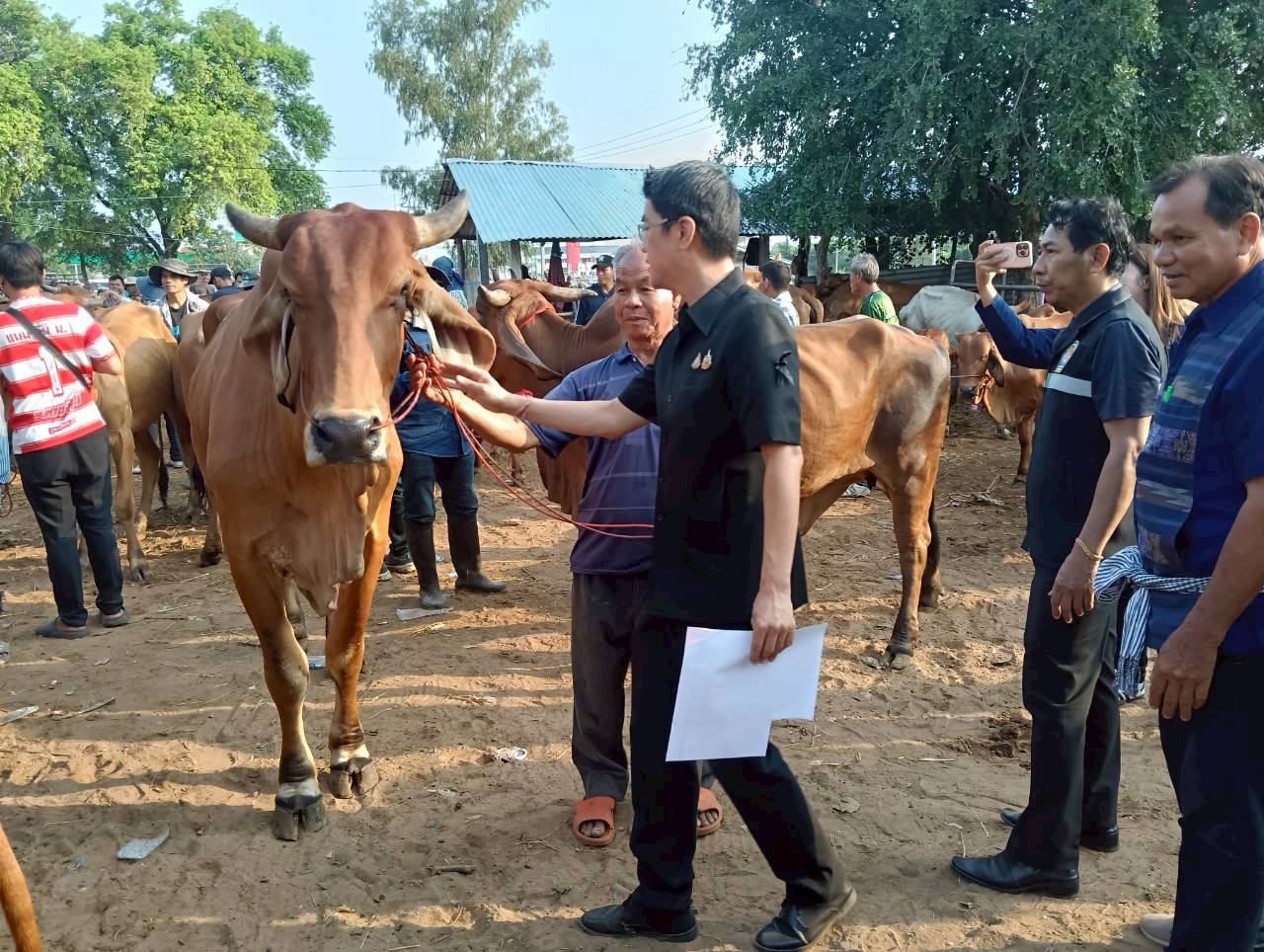 title - ส.ป.ก.ยโสธร ร่วมลงพื้นที่ตรวจเยี่ยม ตลาดนัดโค-กระบือ ณ บ้านเชียงหวาง  ตำบลสำราญ อำเภอเมืองยโสธร จังหวัดยโสธร
