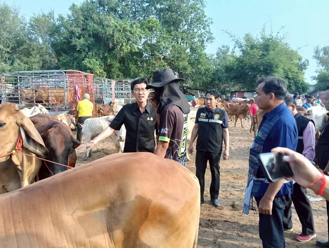 title - ส.ป.ก.ยโสธร ร่วมลงพื้นที่ตรวจเยี่ยม ตลาดนัดโค-กระบือ ณ บ้านเชียงหวาง  ตำบลสำราญ อำเภอเมืองยโสธร จังหวัดยโสธร