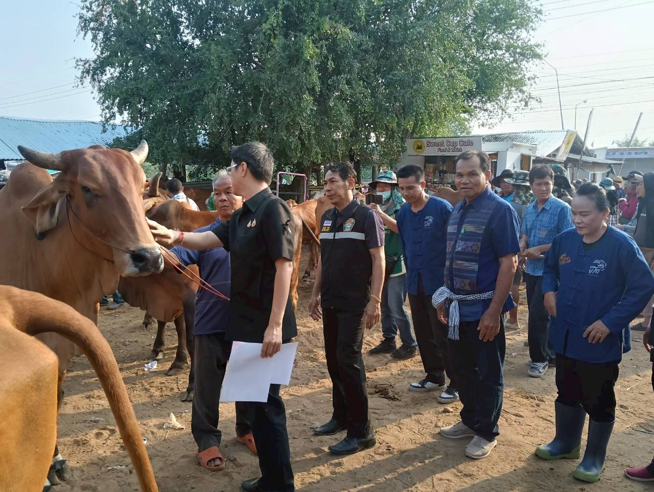 title - ส.ป.ก.ยโสธร ร่วมลงพื้นที่ตรวจเยี่ยม ตลาดนัดโค-กระบือ ณ บ้านเชียงหวาง  ตำบลสำราญ อำเภอเมืองยโสธร จังหวัดยโสธร