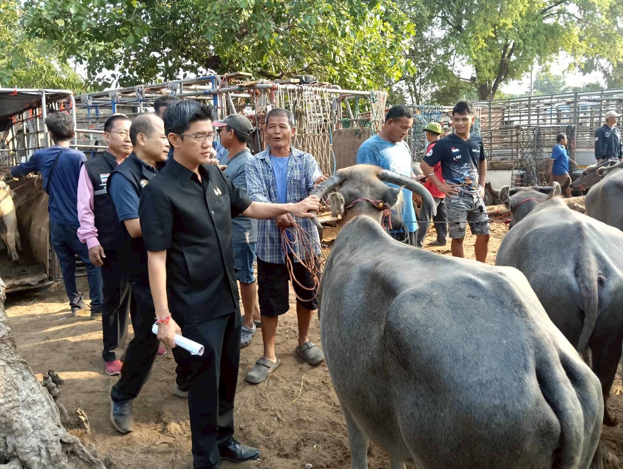 title - ส.ป.ก.ยโสธร ร่วมลงพื้นที่ตรวจเยี่ยม ตลาดนัดโค-กระบือ ณ บ้านเชียงหวาง  ตำบลสำราญ อำเภอเมืองยโสธร จังหวัดยโสธร