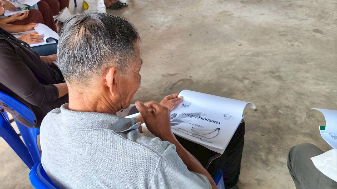 title - ส.ป.ก.ยโสธร จัดฝึกอบรมโครงการพัฒนาเกษตรกรปราดเปรื่อง (Smart Farmer)   ในเขตปฏิรูปที่ดินจังหวัดยโสธร ประจำปีงบประมาณ พ.ศ. 2569 หลักสูตร ที่ 1 การปลูกและการดูแลรักษากล้วยหอมทอง