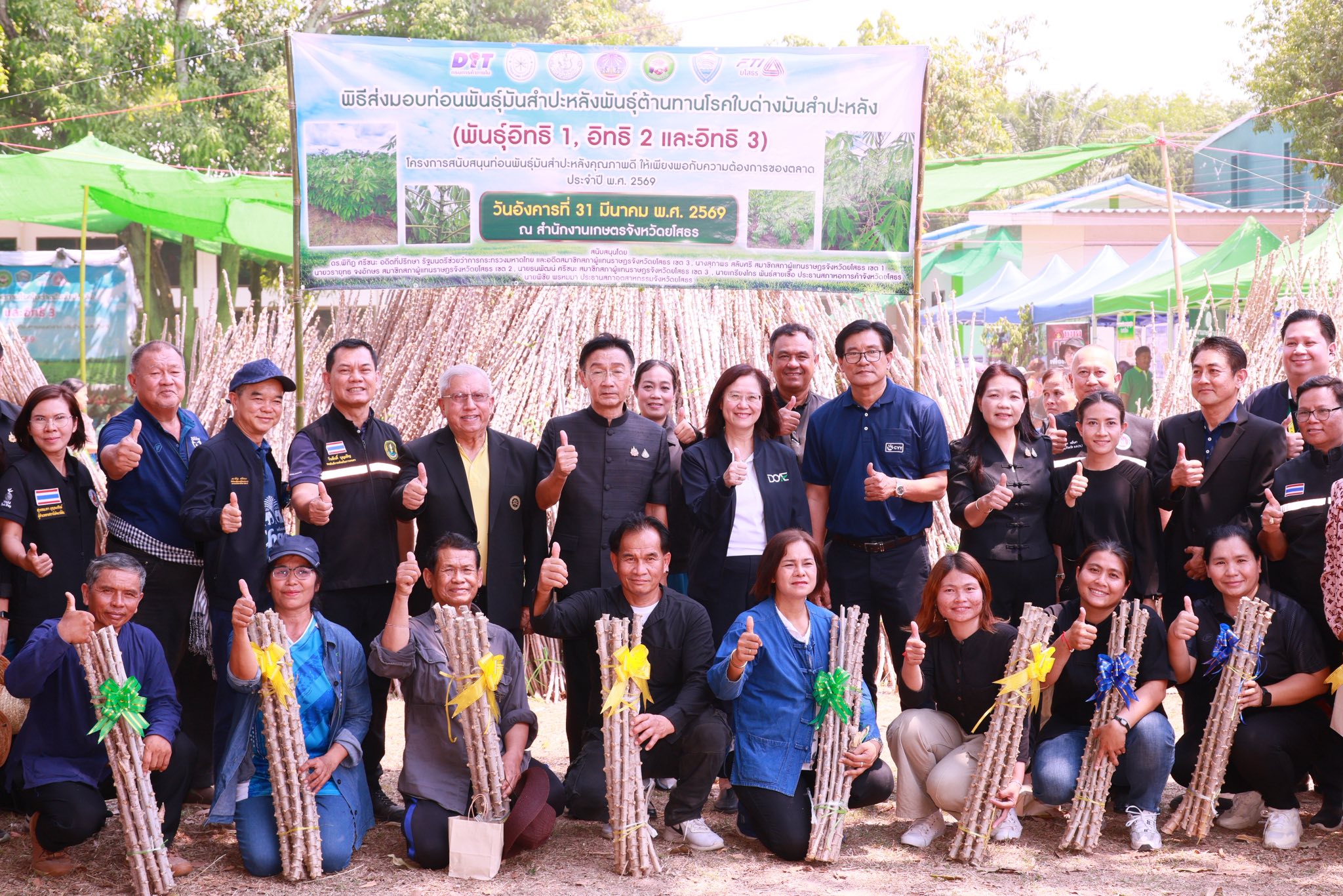 title - ส.ป.ก. ยโสธร ร่วมพิธีส่งมอบท่อนพันธุ์มันสำปะหลังพันธุ์ต้านทานโรคใบด่างมันสำปะหลัง