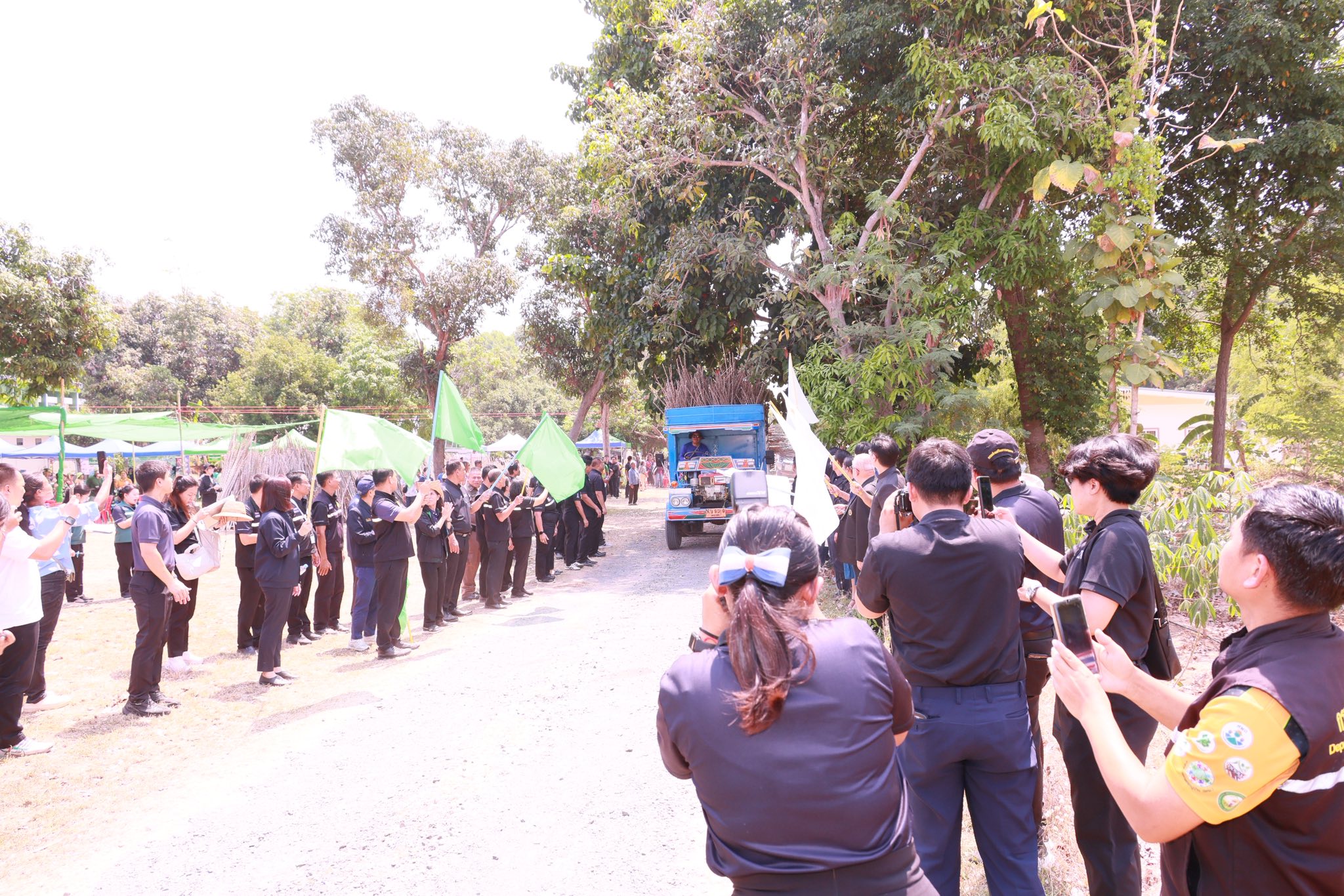 title - ส.ป.ก. ยโสธร ร่วมพิธีส่งมอบท่อนพันธุ์มันสำปะหลังพันธุ์ต้านทานโรคใบด่างมันสำปะหลัง