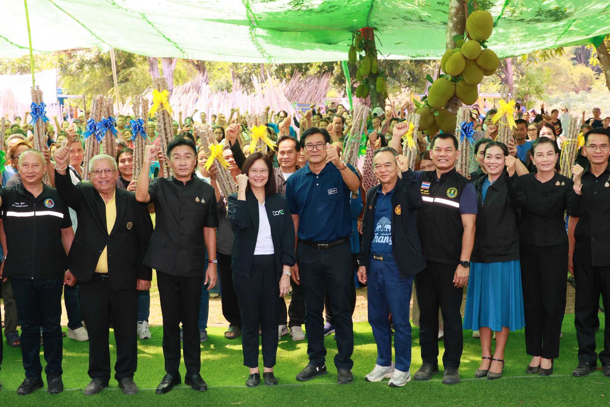 title - ส.ป.ก. ยโสธร ร่วมพิธีส่งมอบท่อนพันธุ์มันสำปะหลังพันธุ์ต้านทานโรคใบด่างมันสำปะหลัง