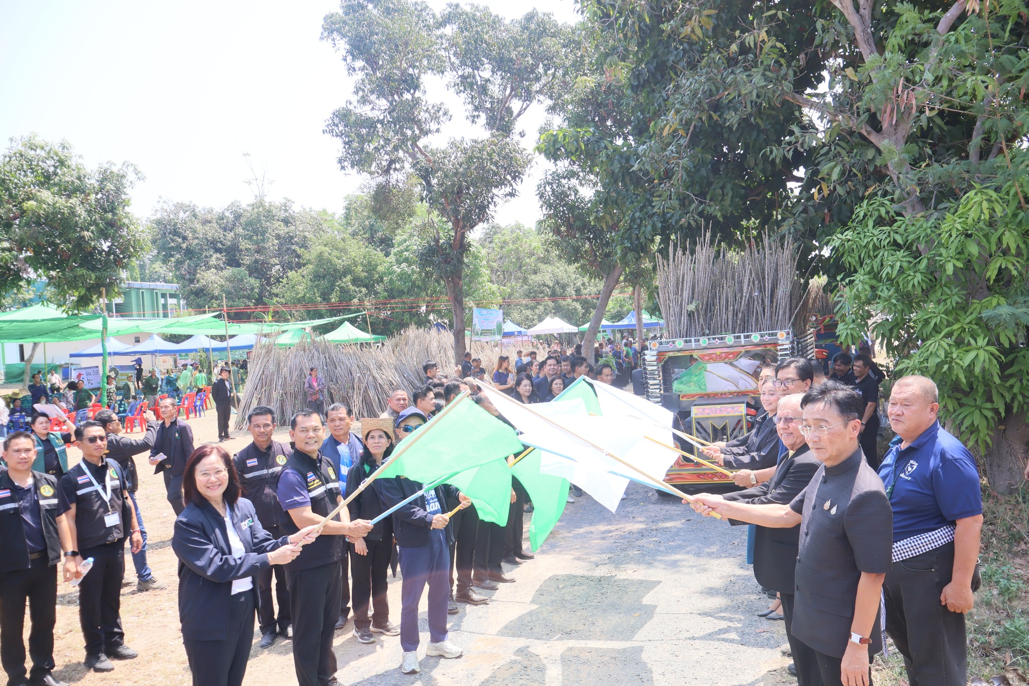 title - ส.ป.ก. ยโสธร ร่วมพิธีส่งมอบท่อนพันธุ์มันสำปะหลังพันธุ์ต้านทานโรคใบด่างมันสำปะหลัง