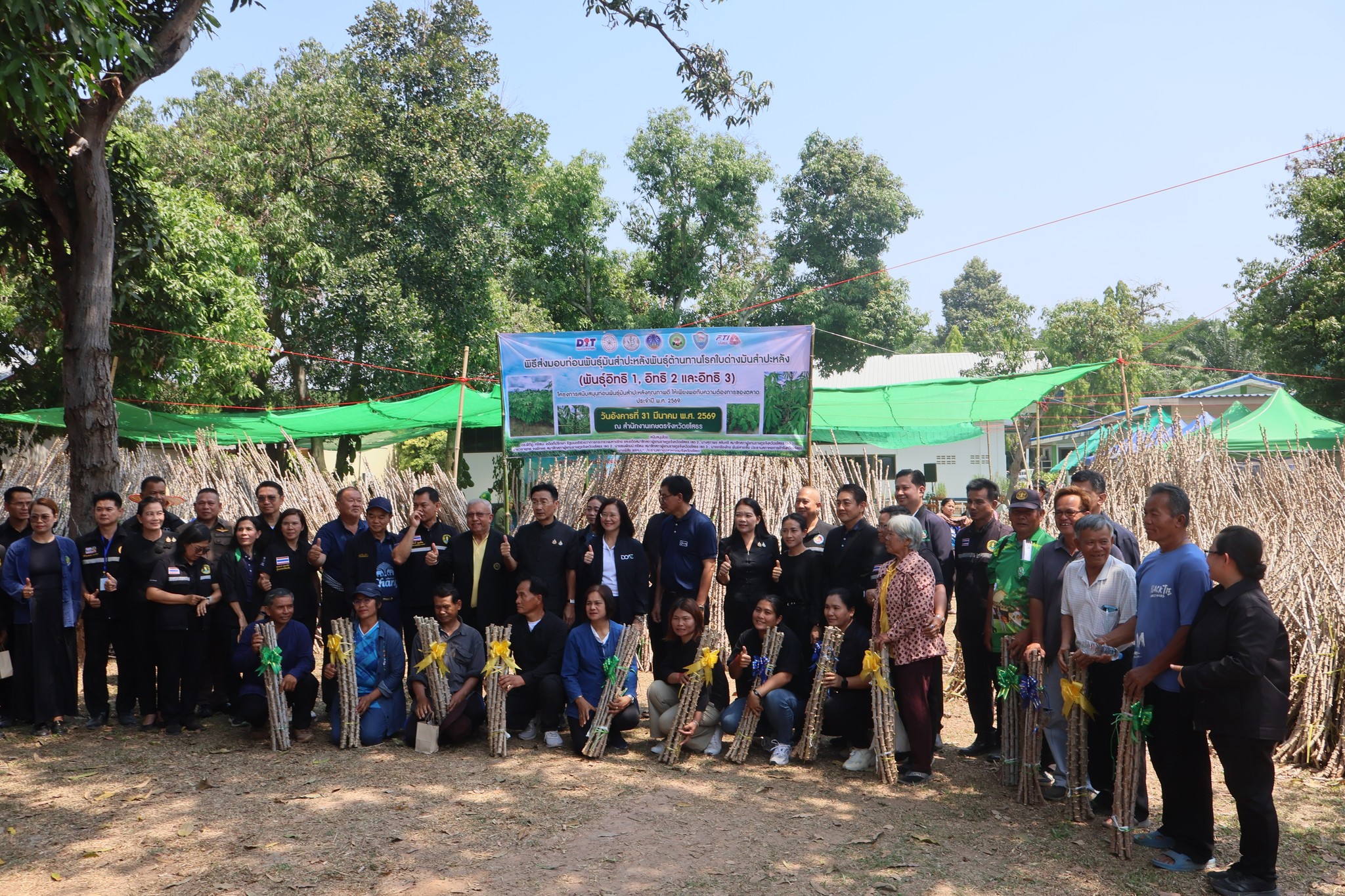 title - ส.ป.ก. ยโสธร ร่วมพิธีส่งมอบท่อนพันธุ์มันสำปะหลังพันธุ์ต้านทานโรคใบด่างมันสำปะหลัง