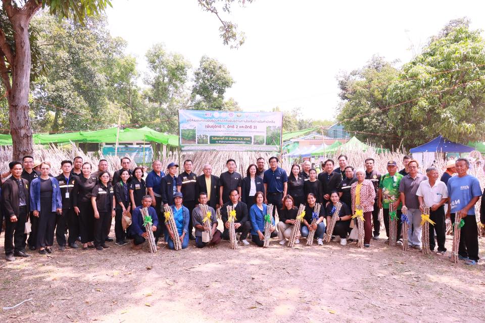 title - ส.ป.ก. ยโสธร ร่วมพิธีส่งมอบท่อนพันธุ์มันสำปะหลังพันธุ์ต้านทานโรคใบด่างมันสำปะหลัง