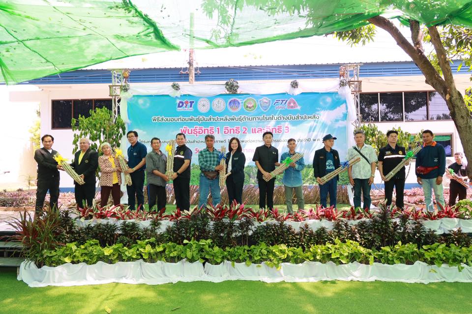 title - ส.ป.ก. ยโสธร ร่วมพิธีส่งมอบท่อนพันธุ์มันสำปะหลังพันธุ์ต้านทานโรคใบด่างมันสำปะหลัง