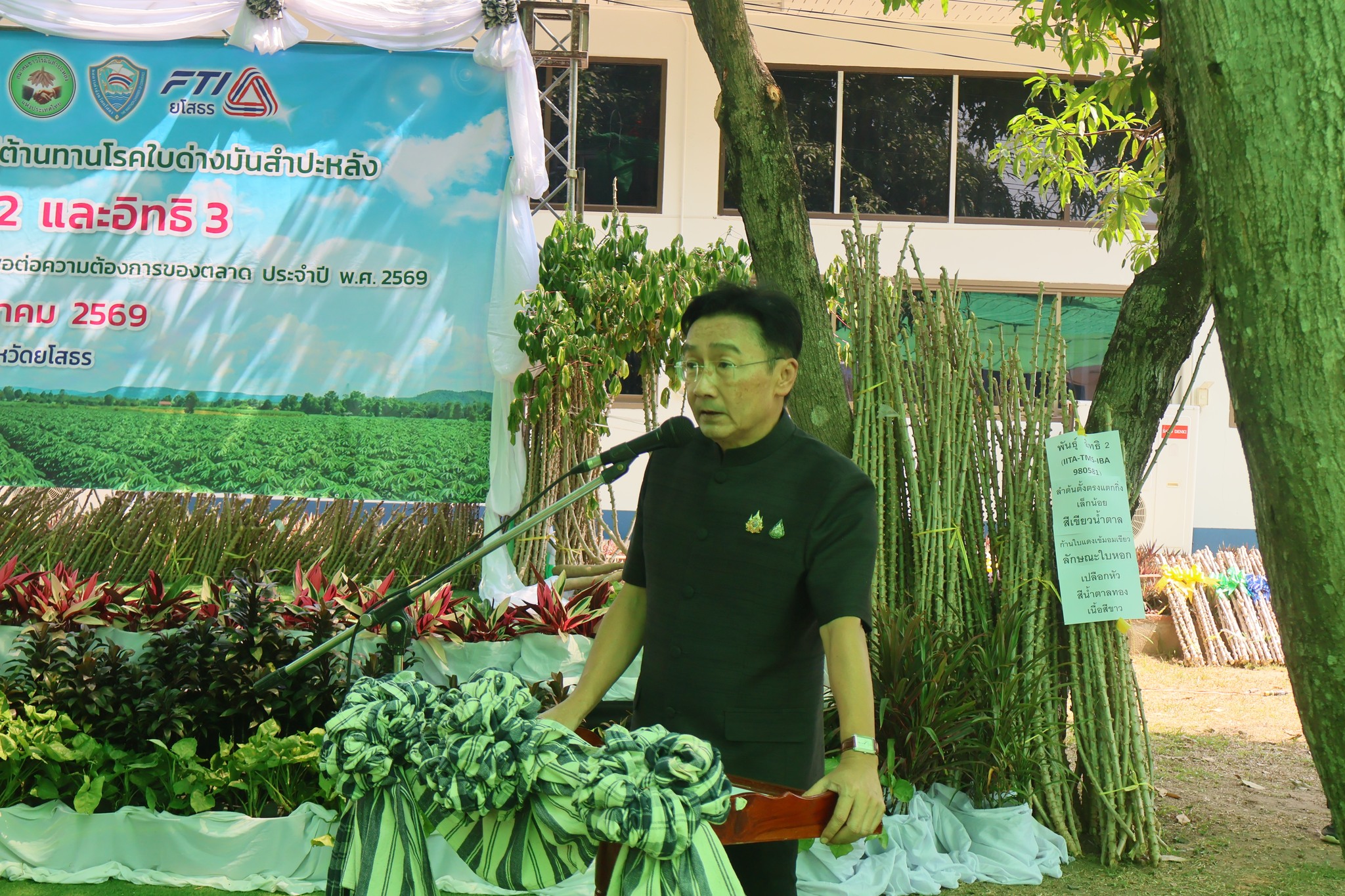 title - ส.ป.ก. ยโสธร ร่วมพิธีส่งมอบท่อนพันธุ์มันสำปะหลังพันธุ์ต้านทานโรคใบด่างมันสำปะหลัง